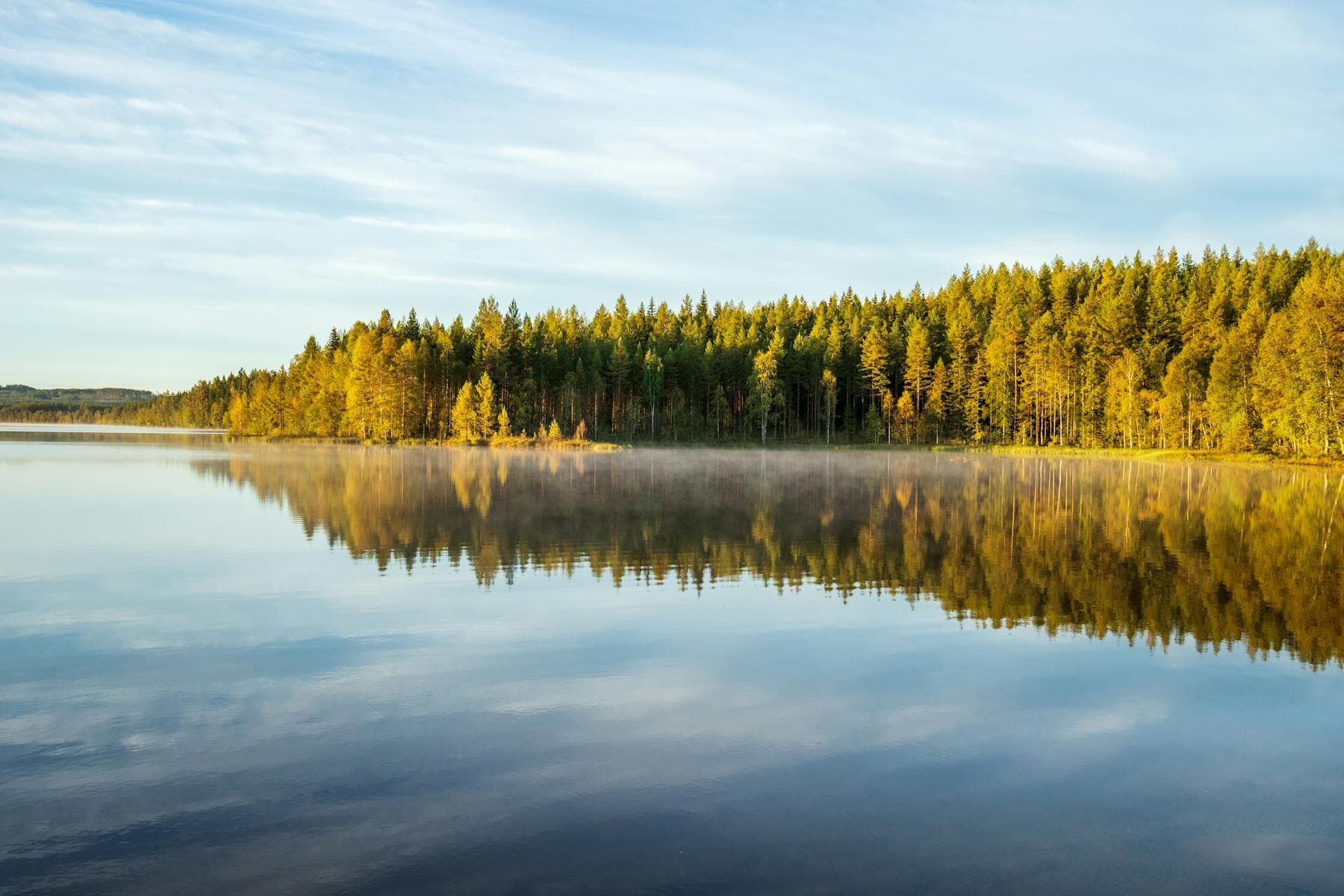 En stilla sjö som speglar en höstskog i gryningen
